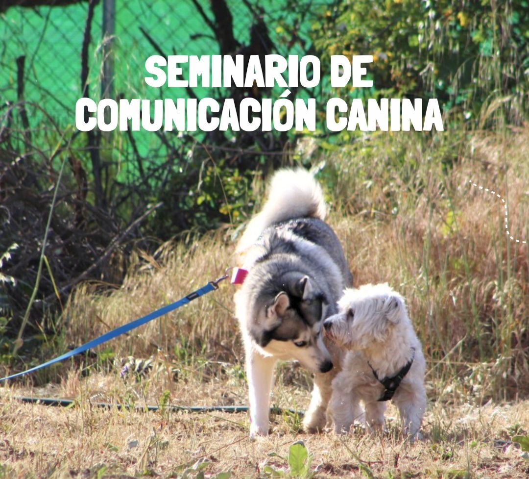 Seminario de comunicación canina