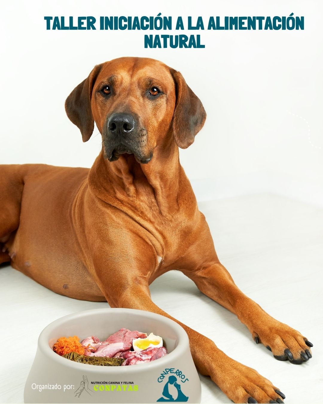 Iniciación a la Alimentación Natural