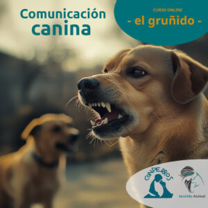 Monográfico "El gruñido"