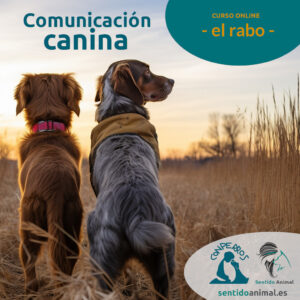 Monográfico "El rabo"