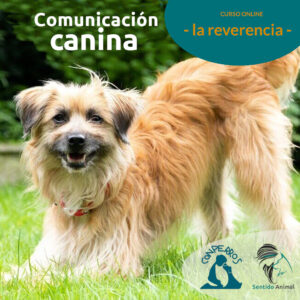 Monográfico "La reverencia"